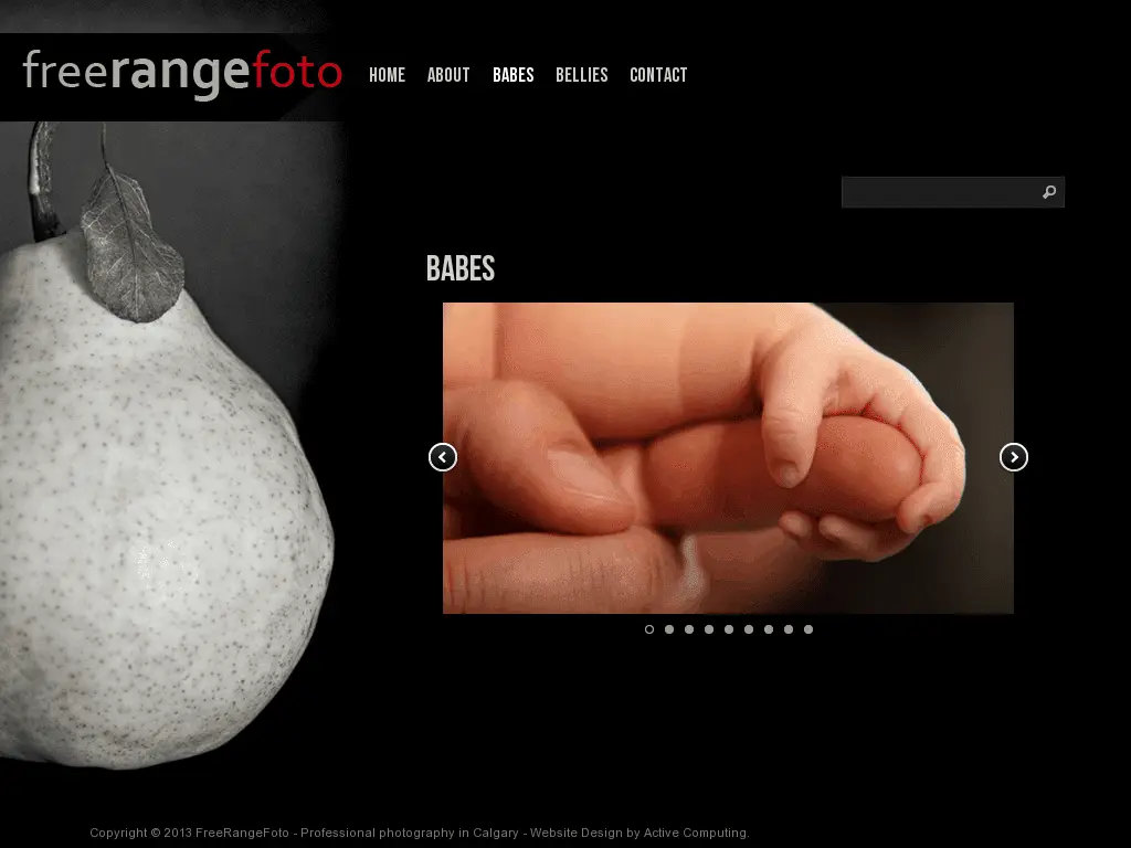 Free Range Foto website designed by Gristwood Design (Photography)